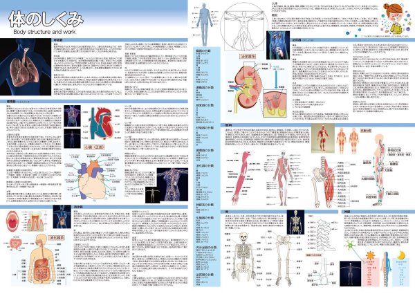画像2: 体と自然の神秘を学ぼう！お値打ち2点セット 日本製 (2)