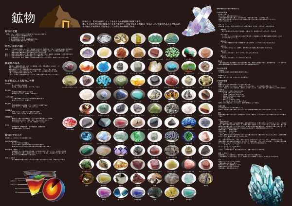 画像3: 体と自然の神秘を学ぼう！お値打ち2点セット 日本製 (3)