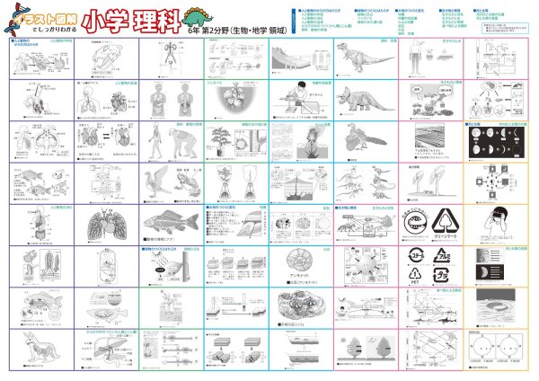 画像2: 小学生の理科力アップ！イラストで学ぶ理科用語ポスター第1・第2分野対応　2枚セット　日本製 (2)