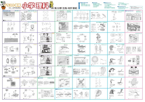 画像3: イラストで学ぶ！小5理科の要点ポスター　2枚セット　日本製 (3)