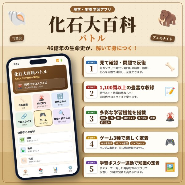 画像4: 【Webアプリ連動版】proceedx 0276 化石 小学 中学 高校 学習ポスター 家庭学習 知育 勉強 部屋 教室 掲示 (4)