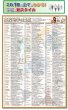 画像1: proceedx 学習ポスター1562高校地学の要点　勉強部屋　教室　壁貼り　学習　大学受験　送料無料　 (1)
