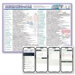 画像2: 【Webアプリ連動版】proceedx 学習ポスター1566高校歴史総合の要点勉強部屋　教室　壁貼り　学習　大学受験　　 (2)