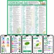 画像2: 【Webアプリ連動版】proceedx 学習ポスター1572高校生物の要点　勉強部屋　教室　壁貼り　学習　大学受験　　 (2)