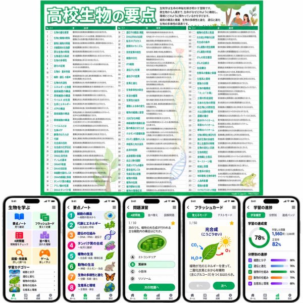 画像2: 【Webアプリ連動版】proceedx 学習ポスター1572高校生物の要点　勉強部屋　教室　壁貼り　学習　大学受験　　 (2)