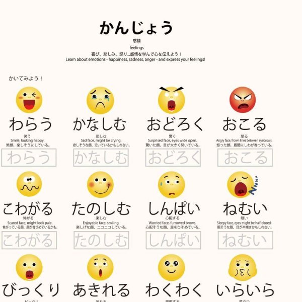 画像2: PROCEEDXよくわかる 感情 PP加工 モッテソーリ学習ポスター A4サイズ 日本製 送料無料 (2)