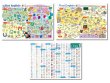 画像1: proceedx 3202はじめての英語を楽しく学ぼう！お値打ち3枚セット 日本製 (1)