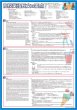 画像4: proceedx 3232 学習ポスター高校英語１ A2サイズお値打ち3点セット日本製 (4)