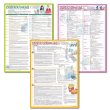 画像1: proceedx 3233 学習ポスター高校英語２ A2サイズお値打ち3点セット日本製 (1)