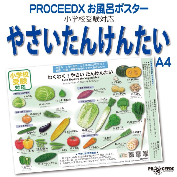 小学校受験対応 やさいたんけんたい お風呂ポスターA4サイズ｜幼児知育・野菜・防水