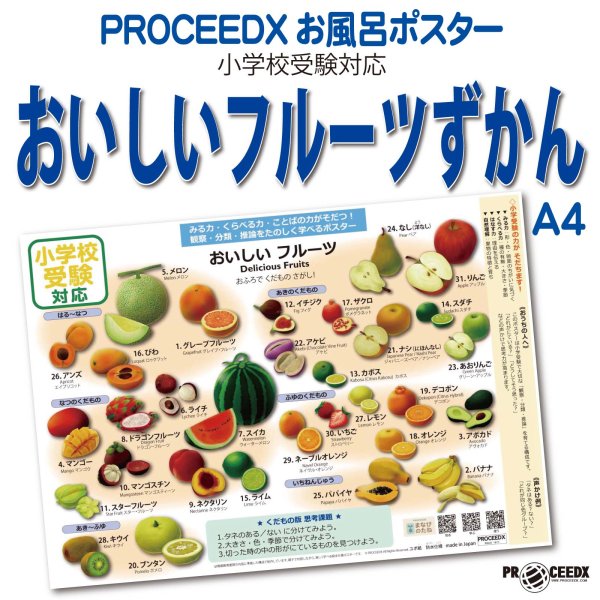 小学校受験対応 おいしいフルーツずかん お風呂ポスターA4サイズ｜幼児知育・果物・防水