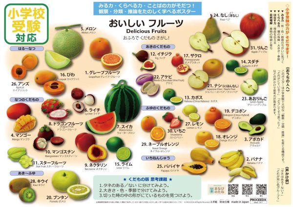 画像13: 小学校受験対応 お風呂ポスターA4サイズ｜幼児知育・やさいたんけんたい・フルーツずかん　2点セット　防水　proceedx1606 (13)