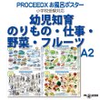 小学校受験対応 お風呂ポスターA2サイズ｜幼児知育・のりもの・仕事・野菜・フルーツ