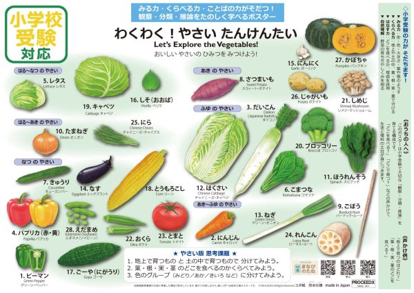 画像14: 小学校受験対応 お風呂ポスターA4サイズ｜幼児知育・のりもの・仕事・野菜・フルーツ　4点セット　防水　proceedx1607 (14)