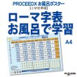 画像1: 【小学校準備】ローマ字表 お風呂で学習ポスター A4 防水proceedx1611 (1)
