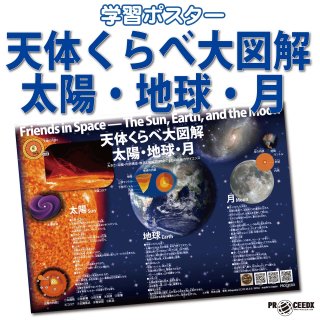 PROCEEDX 太陽・地球・月 学習ポスター｜理科 宇宙 図解 太陽系の構造
