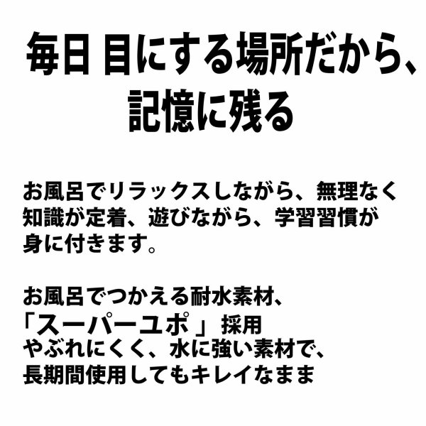 画像6: PROCEEDXお風呂ポスター世界がまるごと見える！国旗・都市・名所をローマ字つきで学べる地球ポスター小学校低学年〜中学生向け A2サイズ 日本製 (6)