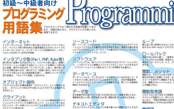 画像2: proceedx　学習ポスター0278初級〜中級向けプログラミング用語集　送料無料　折り目無し送付　勉強部屋　教室　壁掛け　学生　一般 (2)