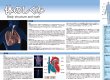 画像2: proceedx　学習ポスター0279体の仕組みと働き送料無料　勉強部屋　教室　壁掛け　学生　一般 折り目なし送付 (2)