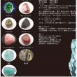 画像5: proceedx　学習ポスター0281鉱物送料無料　勉強部屋　教室　壁掛け　学生　一般 折り目なし送付 (5)