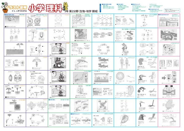 proceedx　学習ポスター0962小学理科　５年 第2分野（生物、地学分野）送料無料　勉強部屋　教室　壁掛け　小学