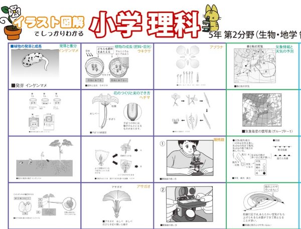 画像2: proceedx 学習ポスター0962小学理科 5年 第2分野(生物、地学分野)送料無料 折り目無し送付 勉強部屋 教室 壁掛け 小学 (2)