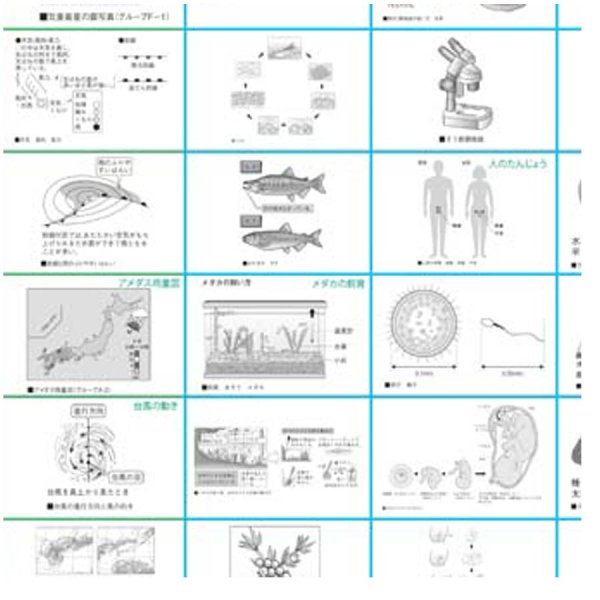 画像3: proceedx 学習ポスター0962小学理科 5年 第2分野(生物、地学分野)送料無料 折り目無し送付 勉強部屋 教室 壁掛け 小学 (3)