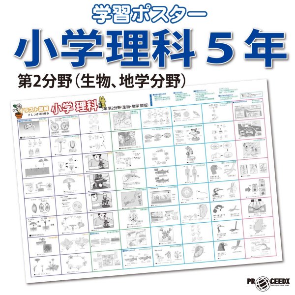 画像1: proceedx 0962 小学理科 ５年 第2分野（生物、地学分野） 小学 学習ポスター 家庭学習 知育 勉強 部屋 教室 掲示 (1)