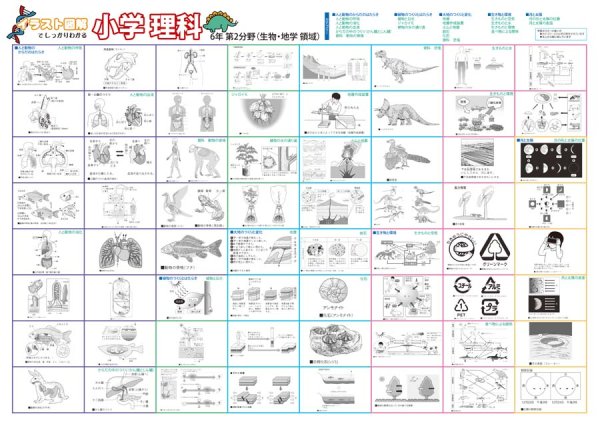 proceedx　学習ポスター0964小学理科　6年 第2分野（生物、地学分野）送料無料　勉強部屋　教室　壁掛け　小学