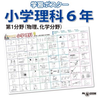 小学理科 6年 第2分野】生物・地学の重要ポイントを学ぶ！小学生向け
