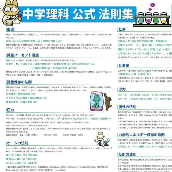 画像9: proceedx 学習ポスター0975中学理科公式法則集  送料無料 折り目無し送付 勉強部屋 教室 壁掛け 中学 (9)