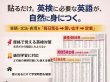 画像5: proceedx　学習ポスター10048英検4級合格　必須英単語、熟語集1送料無料　勉強部屋　教室　壁掛け　学生　一般 (5)