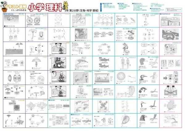 画像2: proceedx学習ポスター 小学理科図解特別セット A2サイズ 5点 折り目無し送付 日本製 (2)