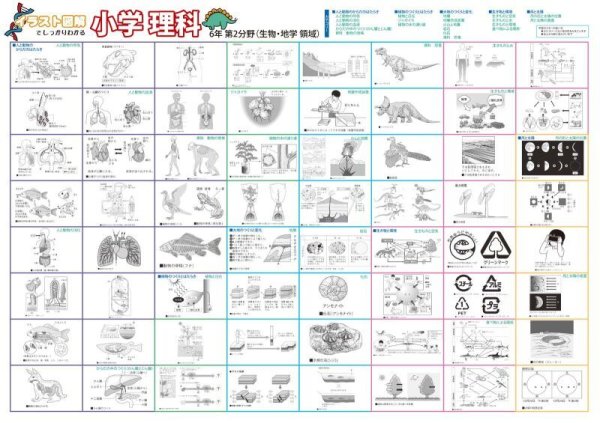 画像4: proceedx学習ポスター 小学理科図解特別セット A2サイズ 5点 折り目無し送付 日本製 (4)