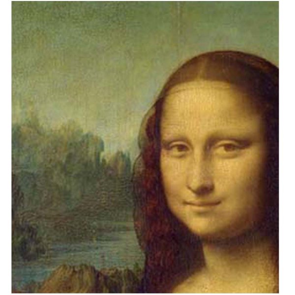 画像4: proceedx名画 絵画ポスター2014モナ・リザ/ダ・ヴィンチ額フレーム付 送料無料 アートインテリア カフェ 店舗 オフィス 壁掛け 新築祝 (4)