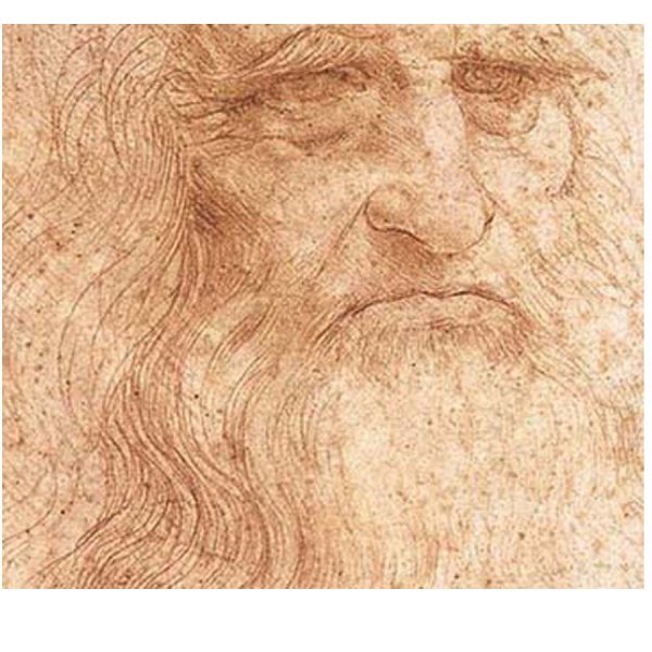 画像4: proceedx名画 絵画ポスター2015自画像/ダ・ヴィンチ額フレーム付 送料無料 アートインテリア カフェ 店舗 オフィス 壁掛け 新築祝 (4)