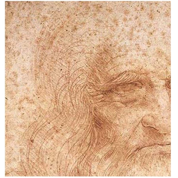 画像5: proceedx名画 絵画ポスター2015自画像/ダ・ヴィンチ額フレーム付 送料無料 アートインテリア カフェ 店舗 オフィス 壁掛け 新築祝 (5)