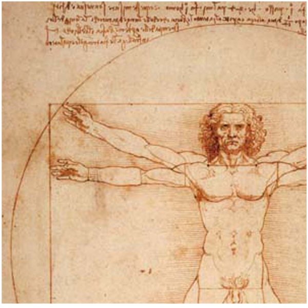 画像4: proceedx名画 絵画ポスター2017ウィトルウィウス的人体図/ダ・ヴィンチ額フレーム付 送料無料 アートインテリア カフェ 店舗 オフィス (4)