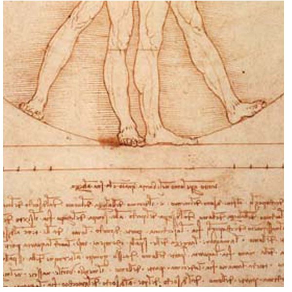 画像5: proceedx名画 絵画ポスター2017ウィトルウィウス的人体図/ダ・ヴィンチ額フレーム付 送料無料 アートインテリア カフェ 店舗 オフィス (5)