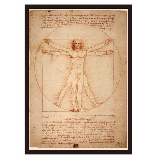 画像4: proceedx名画 絵画ポスターpro-3003 福袋3 5枚セット 額フレーム付 送料無料 インテリア ダビンチ  カフェ 店舗 オフィス 壁掛け    (4)