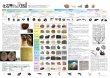 画像6: proceedx学習ポスター pro-3010 福袋5 5枚セット 星座 元素 月面 化学 化石 勉強部屋 教室 壁掛け A2 小学 中学 高校 一般 受験 ふかん学習 簡単 まとめ 重要 暗記 図表 教材 低価格 日本製 (6)