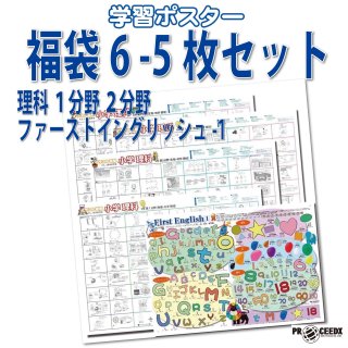 福袋9 5枚セット】中学歴史・公民・地理 学習ポスター A2サイズ 日本製