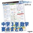 画像1: 中学3年 数学 要点まとめ 学習ポスター A2サイズ 高校受験 定期テスト対策 防水不可 proceedx (1)