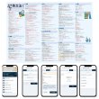 画像2: 【Webアプリ連動版】proceedx 0283 中学英文法1 中学 学習ポスター 家庭学習 知育 勉強 部屋 教室 掲示 (2)