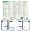 画像2: 【Webアプリ連動版】proceedx 0284 中学英文法2 中学 学習ポスター 家庭学習 知育 勉強 部屋 教室 掲示 (2)